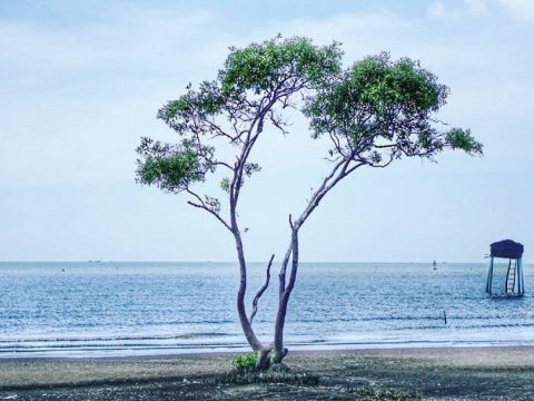 Danh sách điểm tham quan Tiền Giang