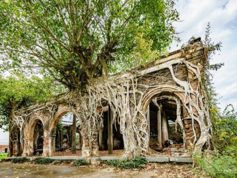 Đình Gò Táo Tiền Giang