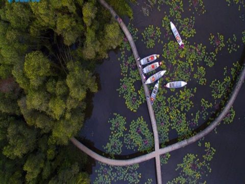 Rừng tràm Long An