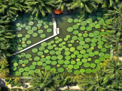 Danh sách điểm tham quan Đồng Tháp