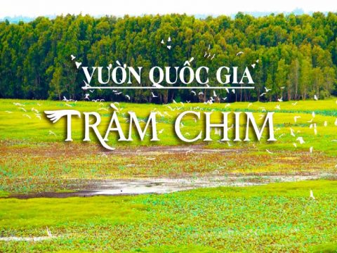 Vườn Quốc Gia Tràm Chim