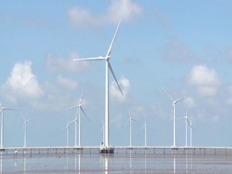 Cánh đồng điện gió Bạc Liêu