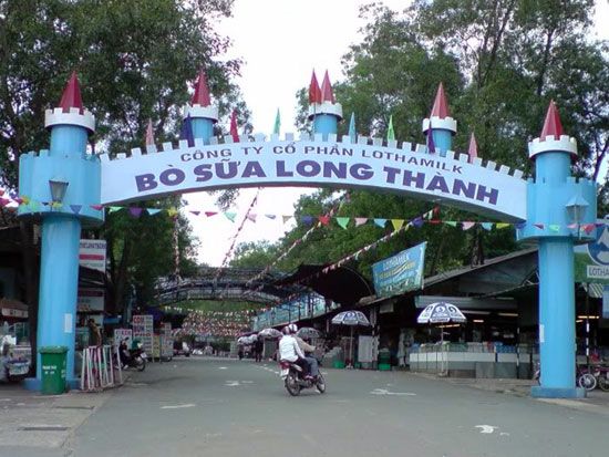 Bò sữa Long Thành