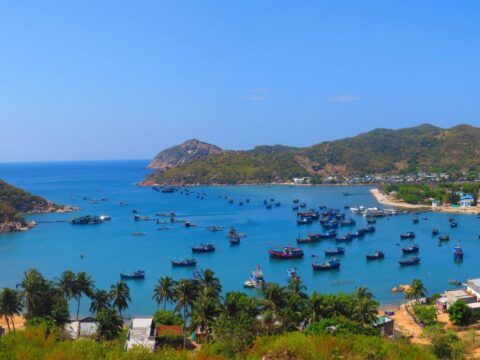 Review NINH CHỮ – VĨNH HY 2025