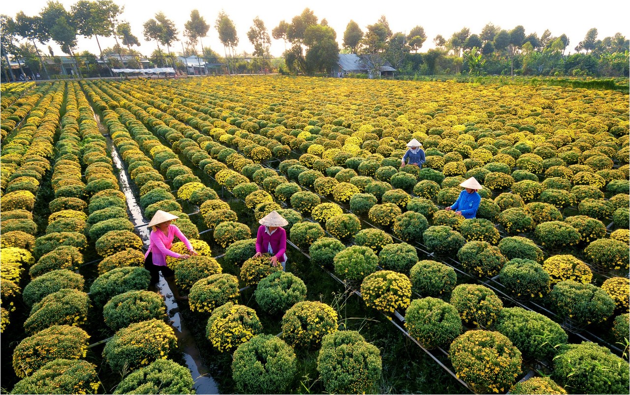 Làng hoa kiểng Sa Đéc