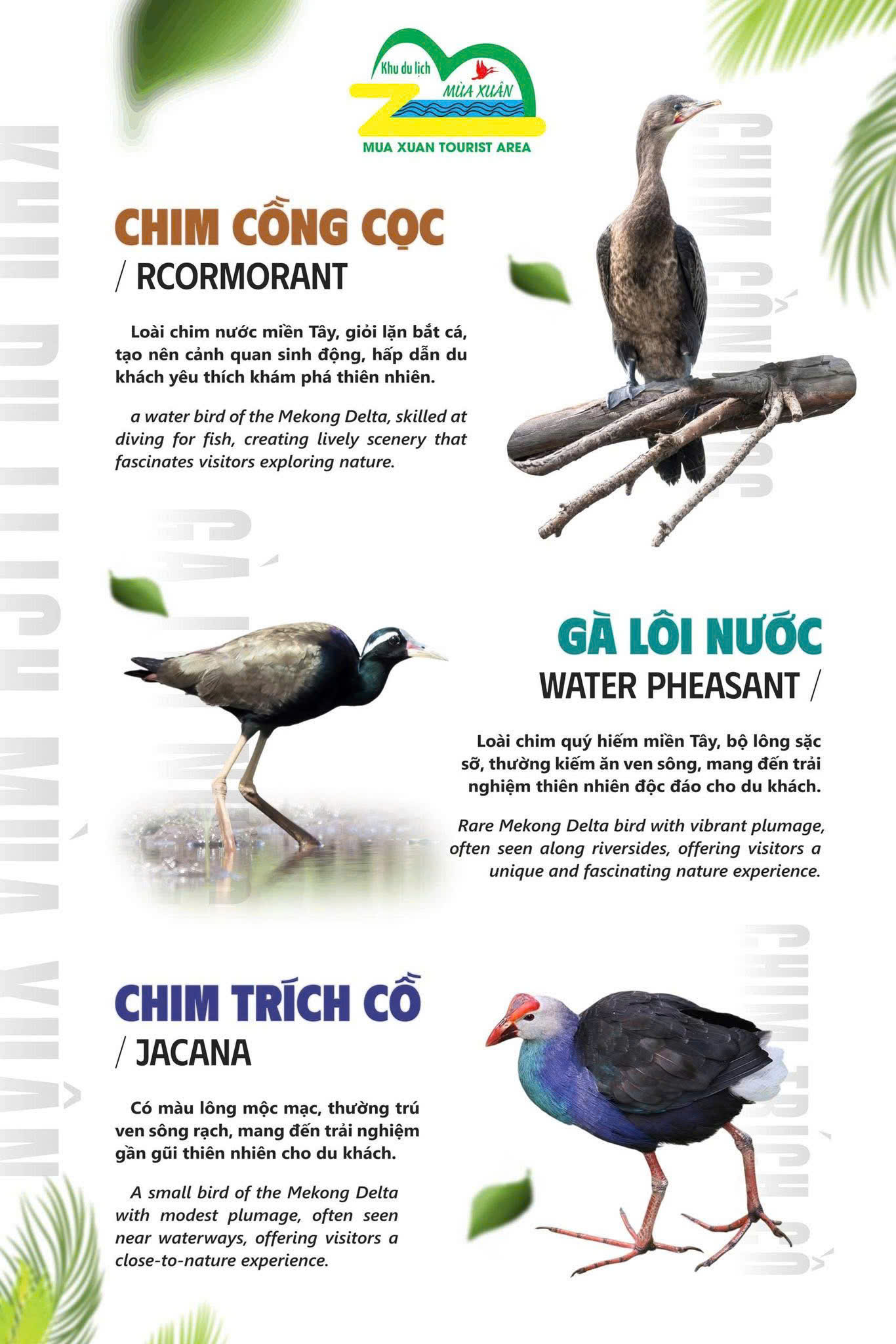 KHÁM PHÁ KHU DU LỊCH MÙA XUÂN