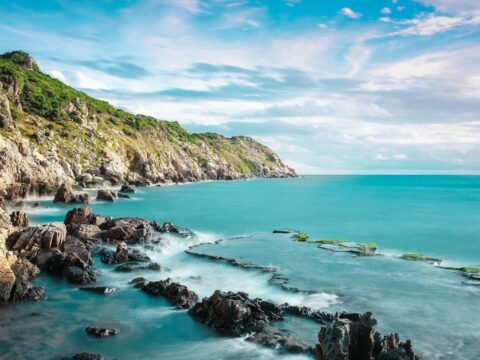 Review Ninh Chữ – Vĩnh Hy 2025